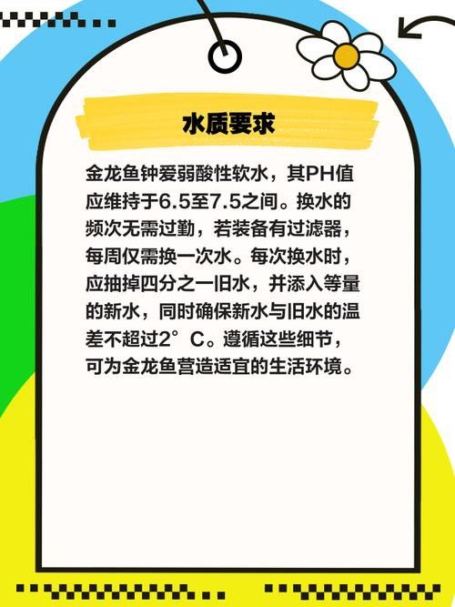 金龍魚(yú)這種魚(yú)好養(yǎng)嗎圖片