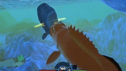 龍魚不吃東西會餓死嗎：龍魚不吃東西會餓死