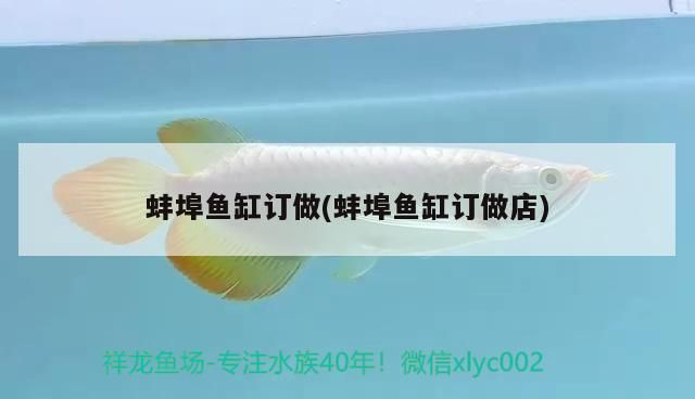 蚌埠魚缸訂做(蚌埠魚缸訂做店)