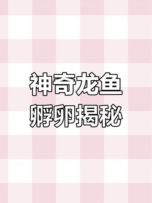 下龍魚的圖片