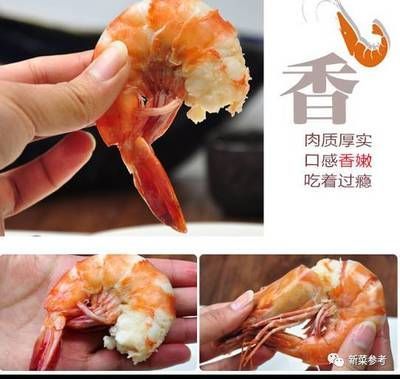 最漂亮的紅龍魚品種（最漂亮的幾種紅龍魚品種）