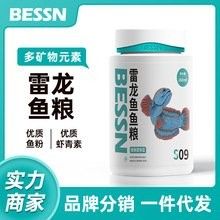 黃金眼鏡蛇雷龍魚多少錢