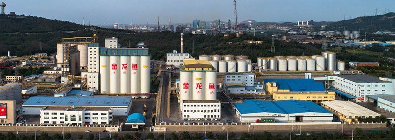 金龍魚2025年半年報發布后有何市場反應？