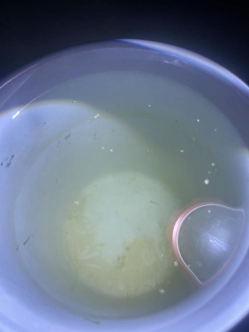 錦鯉白寫變色過程圖片