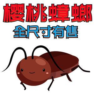 可以和龍魚一起養的龜：烏龜與龍魚一起養的注意事項