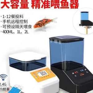 可以和龍魚一起養的龜：烏龜與龍魚一起養的注意事項