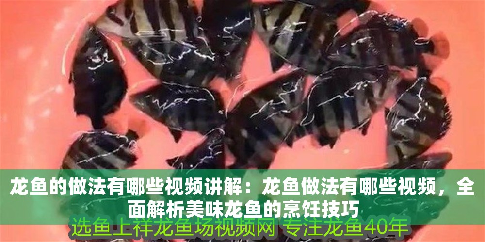 龍魚的做法有哪些視頻講解：龍魚做法有哪些視頻，全面解析美味龍魚的烹飪技巧