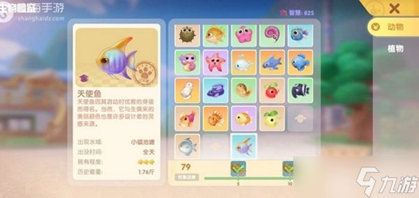 哪里可以釣到金龍魚：《創(chuàng)造與魔法》金龍魚釣點(diǎn)介紹 哪里可以釣到金龍魚：《創(chuàng)造與魔法》金龍魚釣點(diǎn)介紹 龍魚百科 第2張
