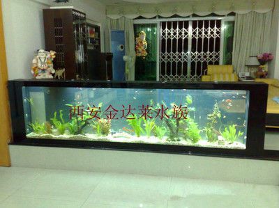 西安魚缸祥龍魚場魚缸：西安魚缸和祥龍魚場魚缸哪個好