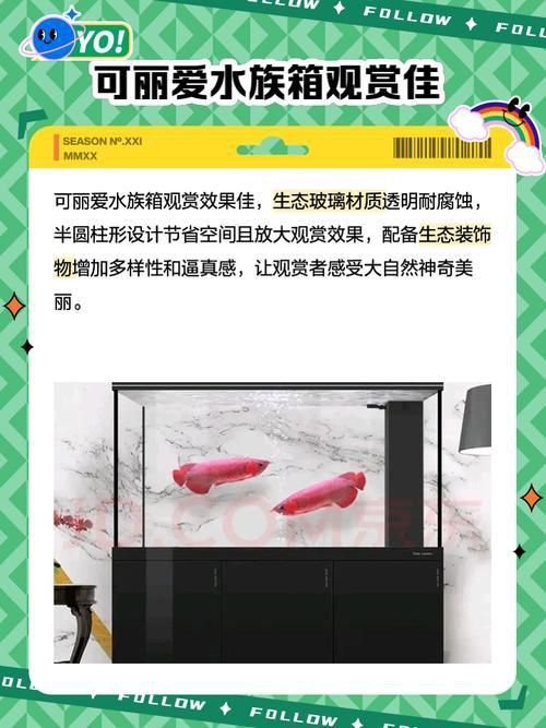 可麗愛魚缸顯示屏圖解
