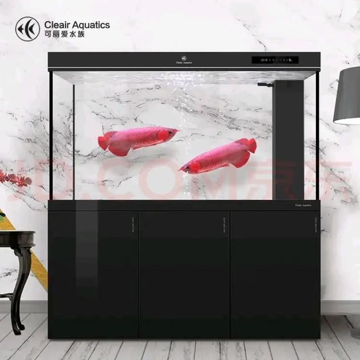 可麗愛魚缸顯示屏圖解
