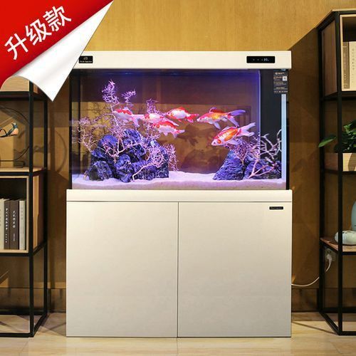 可麗愛魚缸顯示屏圖解