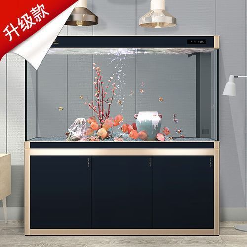 可麗愛魚缸顯示屏圖解
