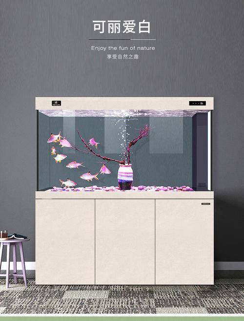 可麗愛魚缸顯示屏圖解