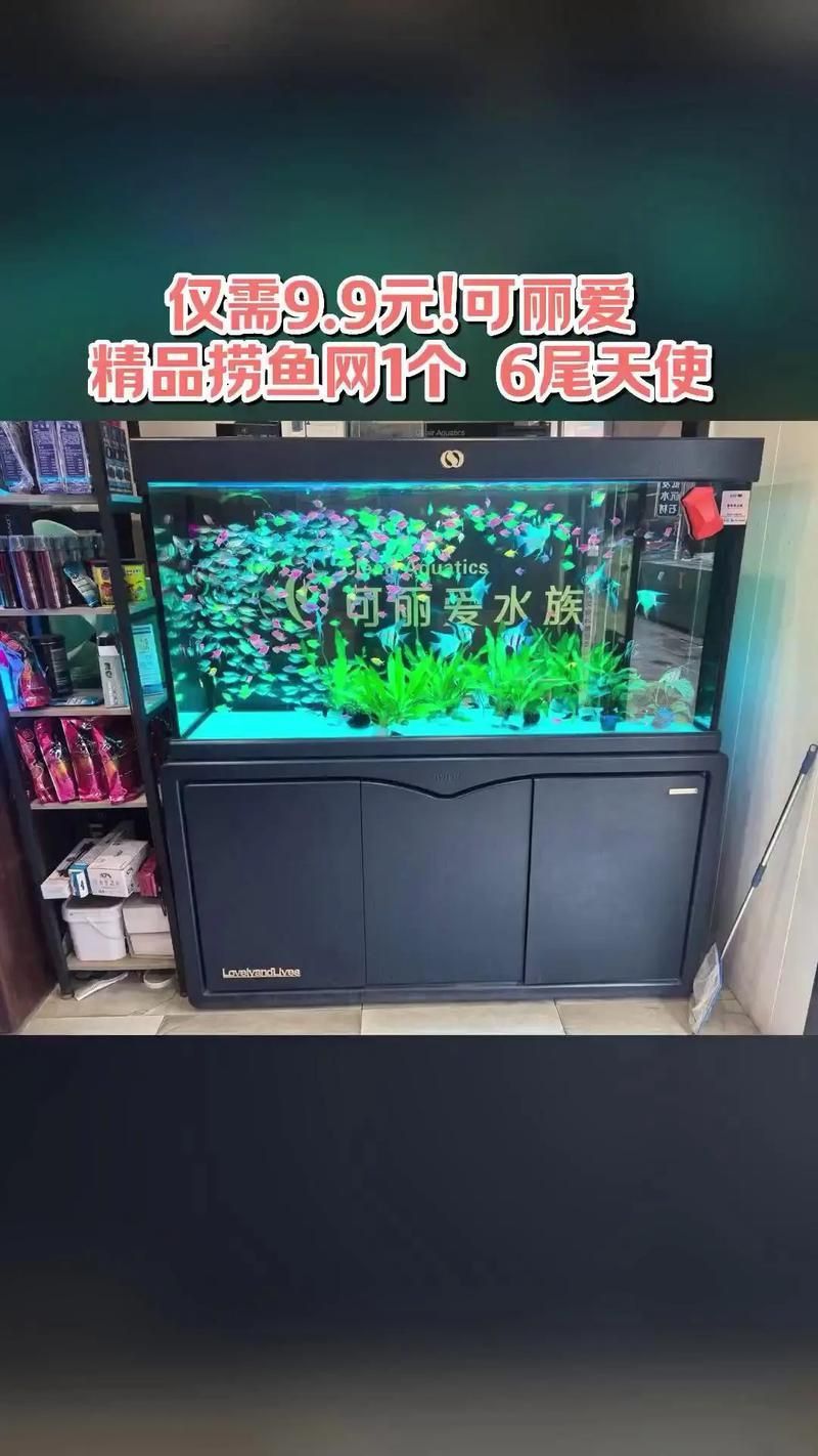 可麗愛魚缸顯示屏圖解