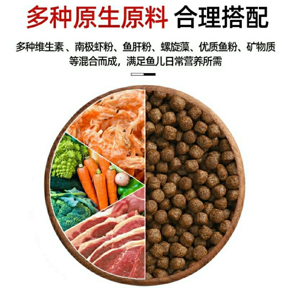 雷龍魚飼料中添加螺旋藻的好處：雷龍魚飼料中添加螺旋藻的益處