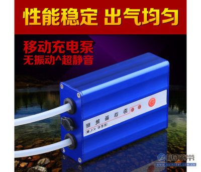 紅龍魚市場價格表大全最新圖片視頻（紅龍魚市場價格表大全最新圖片視頻下載）