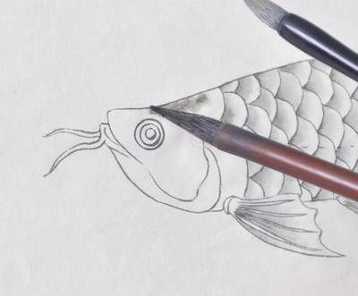 畫金龍魚的簡單方法：在尋找簡單的方法來畫金龍魚時