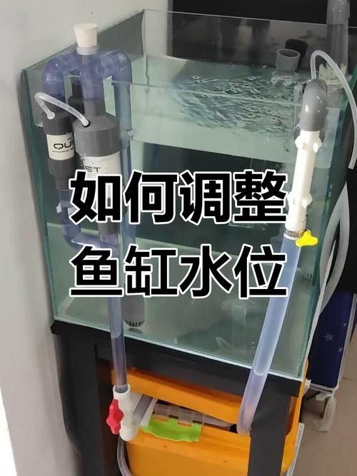 龍魚單側(cè)掉眼最簡單的恢復(fù)方法圖解 龍魚百科 第3張 龍魚單側(cè)掉眼最簡單的恢復(fù)方法圖解 龍魚單側(cè)掉眼最簡單的恢復(fù)方法圖解 龍魚百科 第3張