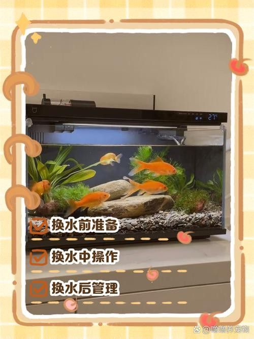 龍魚單側(cè)掉眼最簡單的恢復(fù)方法圖解 龍魚百科 第18張 龍魚單側(cè)掉眼最簡單的恢復(fù)方法圖解 龍魚單側(cè)掉眼最簡單的恢復(fù)方法圖解 龍魚百科 第18張
