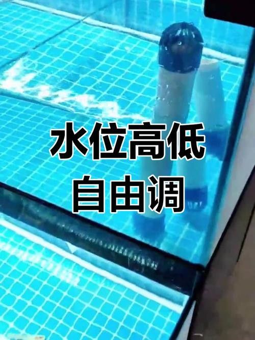 龍魚單側(cè)掉眼最簡單的恢復(fù)方法圖解 龍魚百科 第10張 龍魚單側(cè)掉眼最簡單的恢復(fù)方法圖解 龍魚單側(cè)掉眼最簡單的恢復(fù)方法圖解 龍魚百科 第10張