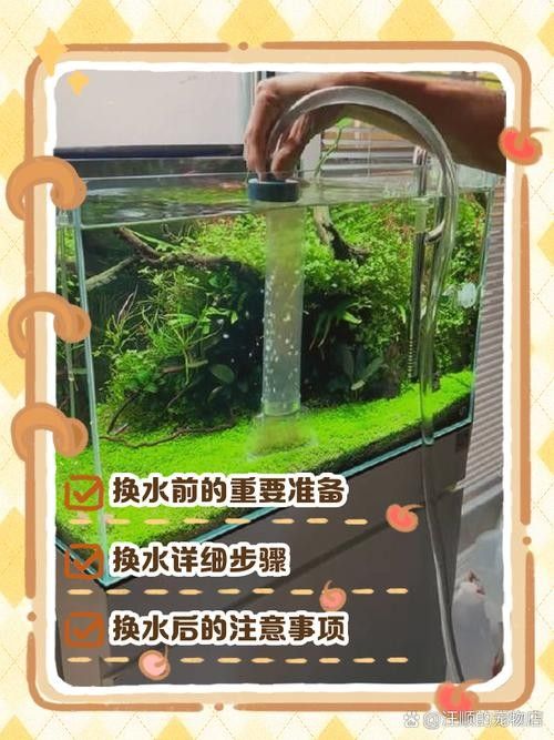 龍魚單側(cè)掉眼最簡單的恢復(fù)方法圖解 龍魚百科 第19張 龍魚單側(cè)掉眼最簡單的恢復(fù)方法圖解 龍魚單側(cè)掉眼最簡單的恢復(fù)方法圖解 龍魚百科 第19張