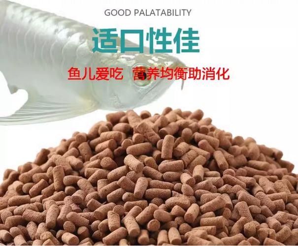 龍魚單側(cè)掉眼最簡單的恢復(fù)方法圖解 龍魚百科 第35張 龍魚單側(cè)掉眼最簡單的恢復(fù)方法圖解 龍魚單側(cè)掉眼最簡單的恢復(fù)方法圖解 龍魚百科 第35張