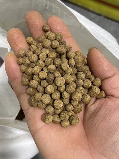 龍魚單側(cè)掉眼最簡單的恢復(fù)方法圖解 龍魚百科 第31張 龍魚單側(cè)掉眼最簡單的恢復(fù)方法圖解 龍魚單側(cè)掉眼最簡單的恢復(fù)方法圖解 龍魚百科 第31張