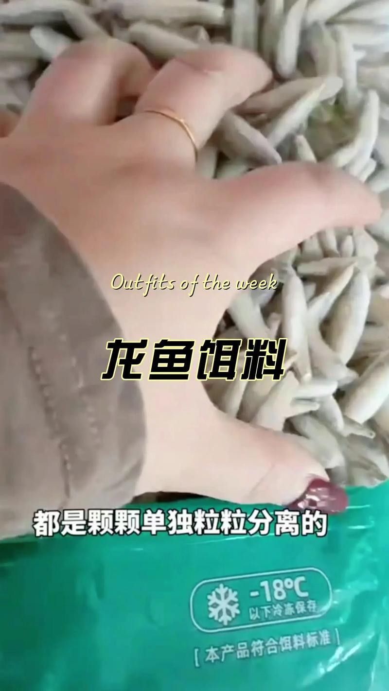 龍魚單側(cè)掉眼最簡單的恢復(fù)方法圖解 龍魚百科 第45張 龍魚單側(cè)掉眼最簡單的恢復(fù)方法圖解 龍魚單側(cè)掉眼最簡單的恢復(fù)方法圖解 龍魚百科 第45張