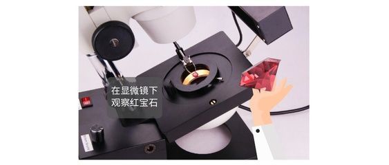 龍魚打斗 爛鰭爛尾：龍魚打斗導(dǎo)致的爛鰭爛尾