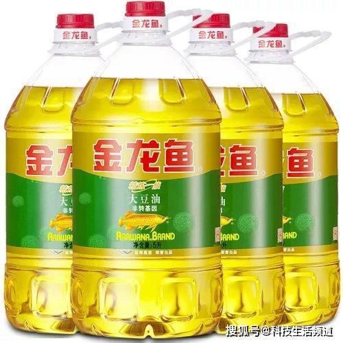 紅龍魚用什么背景最好發色的顏色好看呢視頻教程（紅龍魚適合什么顏色的背景）