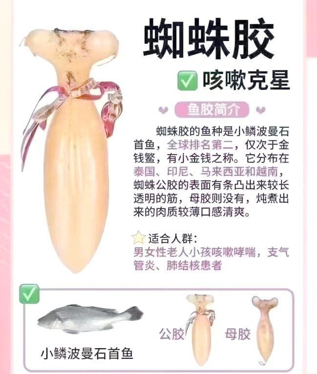 金龍膠和黃花膠哪個好