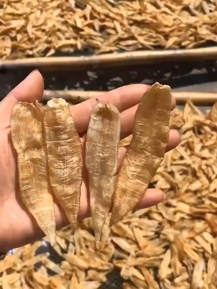 金龍膠和黃花膠哪個好