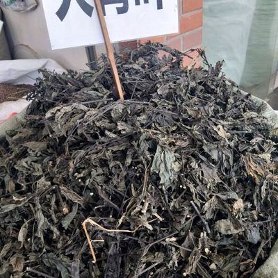 養龍魚時必備的藥材及其用途：鹽、黃粉和亞甲基藍：養龍魚必備的藥材及其用途