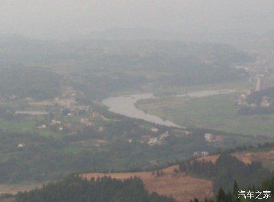 金龍魚俯視圖高清，金龍魚俯視圖高清圖片