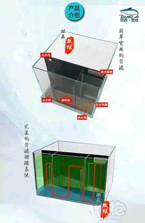龍魚用什么過濾器