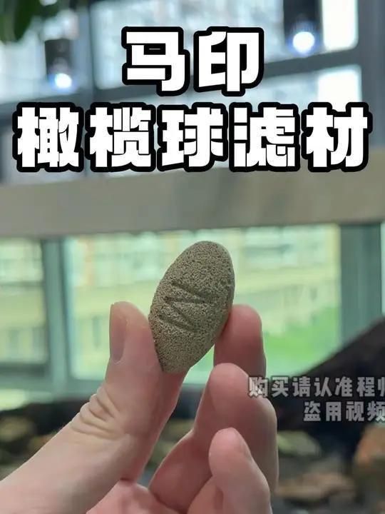 馬印濾材到底行不行