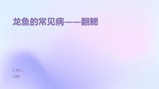 如何預防銀龍魚翻鰓癥？