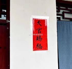 龍貓的哪些顏色最招財? 龍魚百科 第6張 龍貓的哪些顏色最招財? 龍貓的哪些顏色最招財? 龍魚百科 第6張