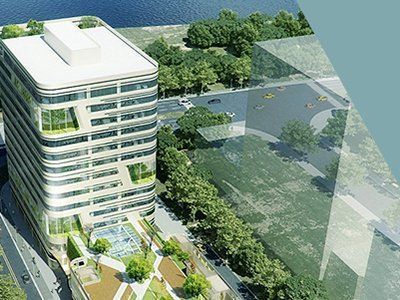 金龍魚總廠家聯(lián)系電話