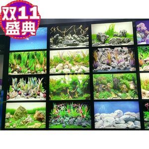 純黑龍魚(yú)的價(jià)格一般多少錢(qián)一斤：純黑龍魚(yú)價(jià)格一般多少錢(qián)一斤