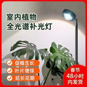 龍魚吃的小魚叫什么：龍魚常吃的小魚種類