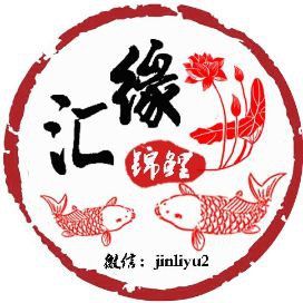 錦鯉被別的魚咬掉了鱗,怎么辦