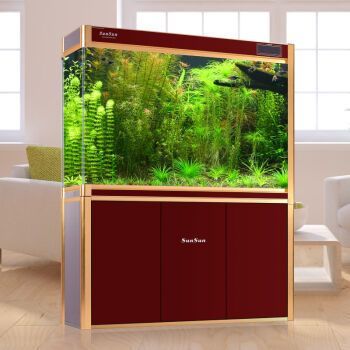 《龍王傳說》中龍神血脈如何影響劇情？ 《龍王傳說》中龍神血脈如何影響劇情？ 龍魚百科 第5張