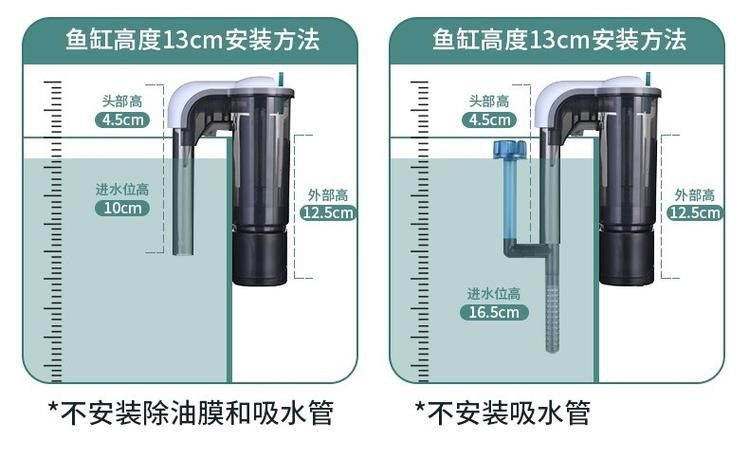 推薦幾款適合中小型龍魚的過濾系統(tǒng)