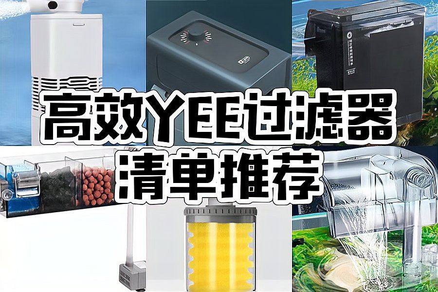 推薦幾款適合中小型龍魚的過濾系統(tǒng)