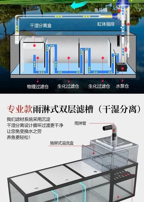推薦幾款適合中小型龍魚的過濾系統(tǒng)
