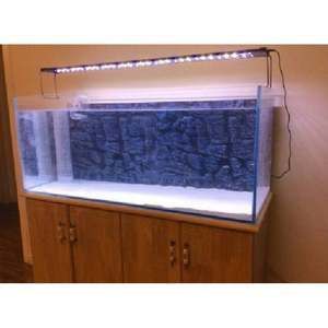 紅龍魚魚缸背景圖怎么選擇(養(yǎng)紅龍魚缸用什么背景好) 龍魚百科 第7張 紅龍魚魚缸背景圖怎么選擇(養(yǎng)紅龍魚缸用什么背景好) 紅龍魚魚缸背景圖怎么選擇(養(yǎng)紅龍魚缸用什么背景好) 龍魚百科 第7張