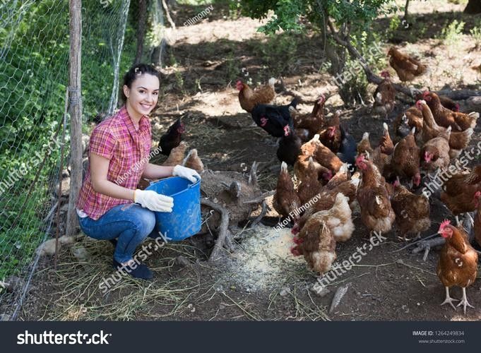 龍魚哪里好看圖片