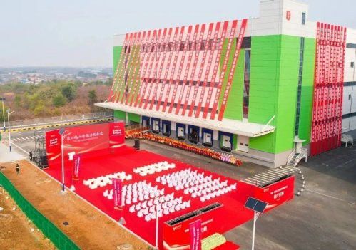 金龍魚杭州工廠